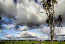 爱游戏入口-摩洛哥瓦赫达焦点战役引爆球迷期待