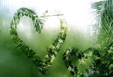 爱游戏在线-猛龙队禁区控制游刃有余，锁定胜利之路