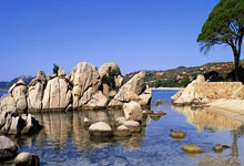 爱游戏官方-俄罗斯足球传奇再次登顶巅峰，展现王者风采