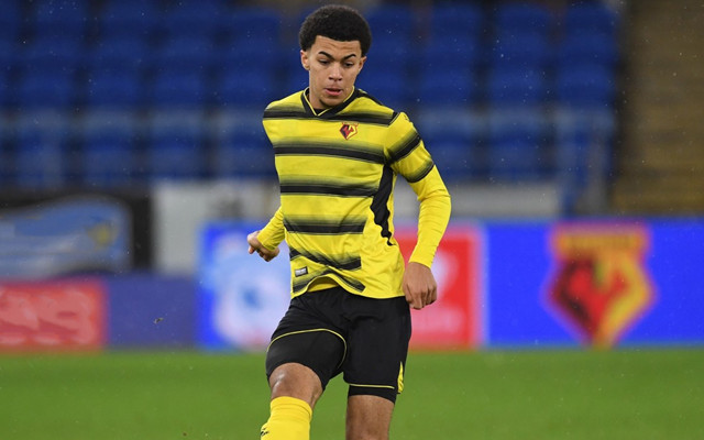 爱游戏tv-沃特福德战平狼队，积极回暖！的简单介绍