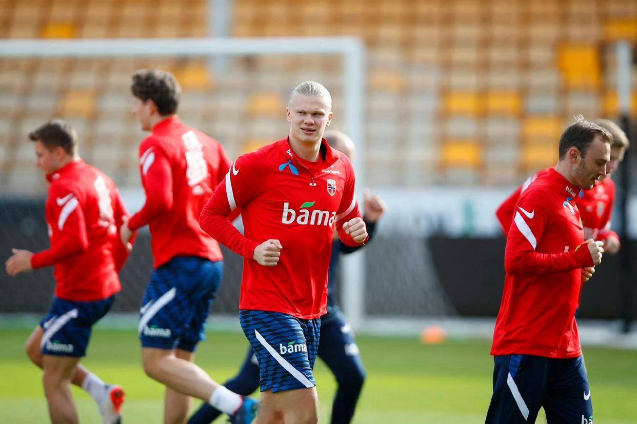 奥地利队在欧预赛中击败对手，实力有所增强