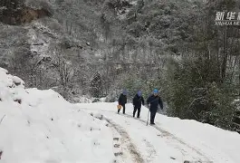雷恩客战告负，面临前行路上难题的简单介绍