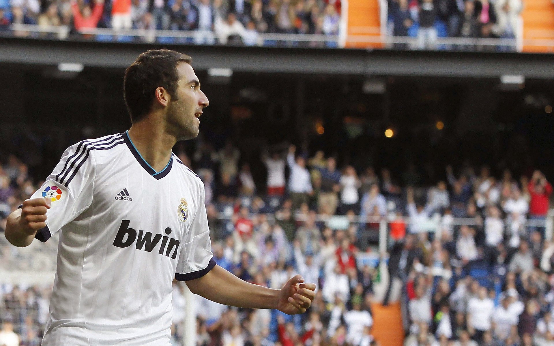 骑士的远征与巨龙的觉醒,当绝杀成为信仰